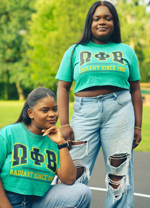 OPB - T-Shirt: OPB Mineral Washed Cropped Top