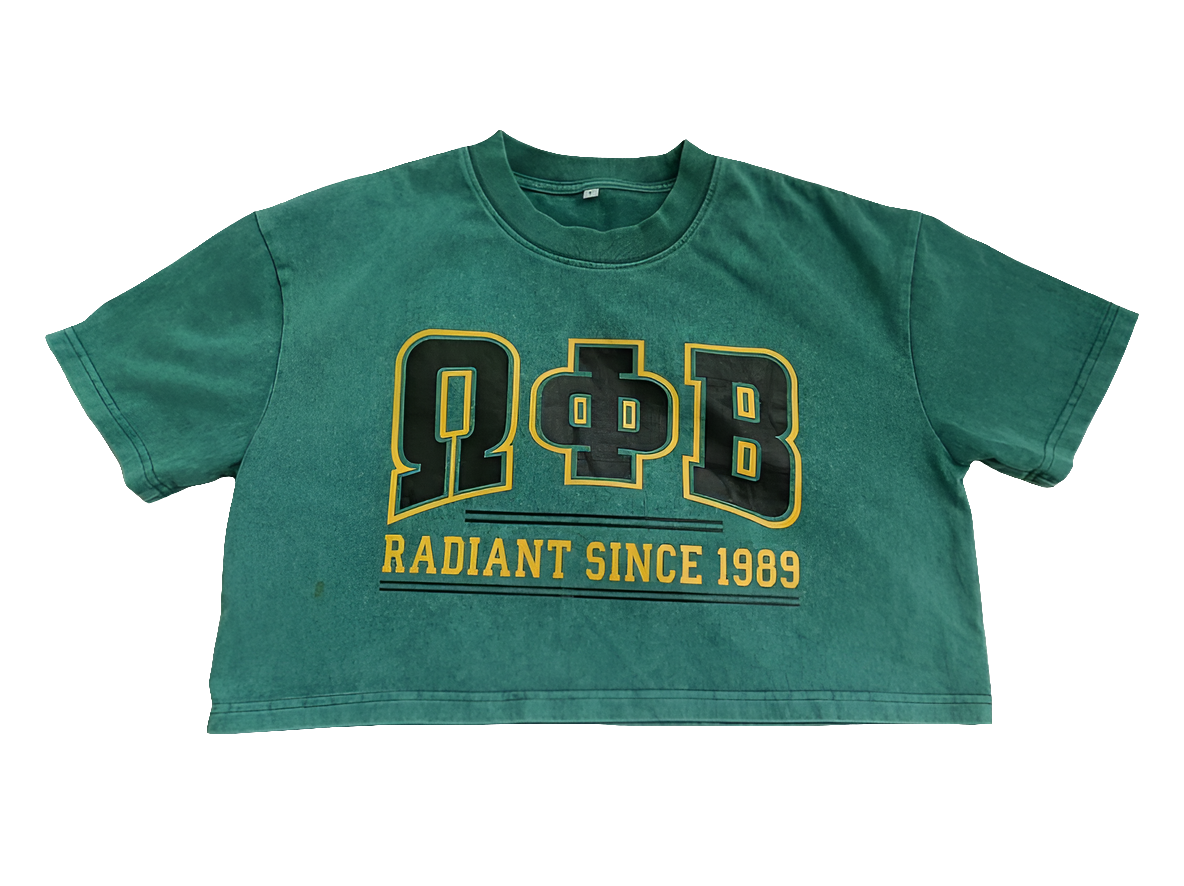 OPB - T-Shirt: OPB Mineral Washed Cropped Top